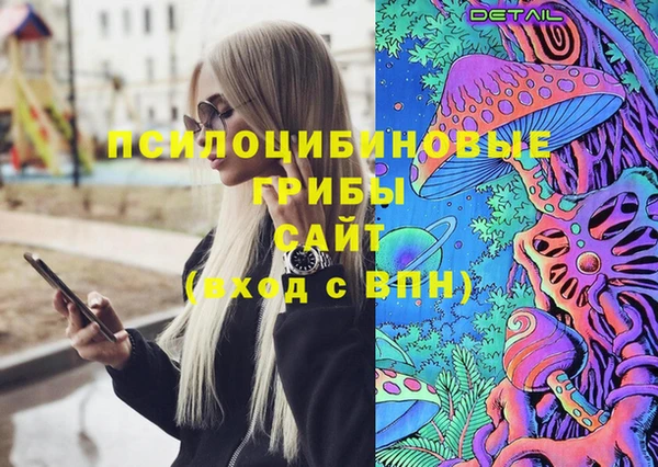 mdpv Богородицк