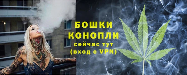 mix Богородск